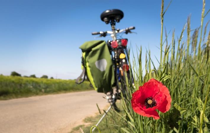 Nationale Sportweek - Fietstocht Schore