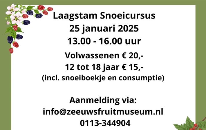 Laagstam Snoeicursus