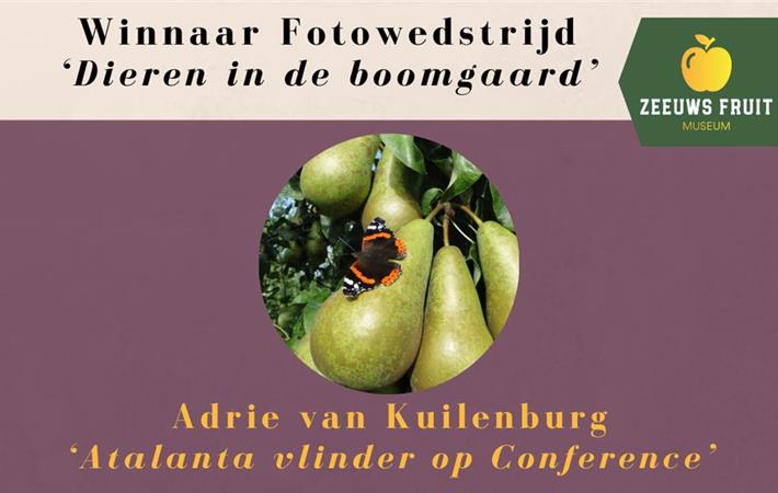 Fotowedstrijd ZeeuwsFruitMuseum
